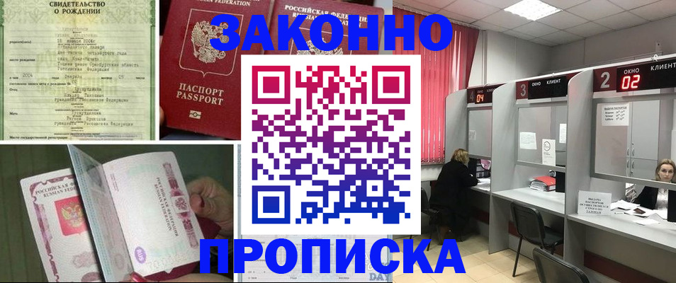 прописка в квартире в Стародубе